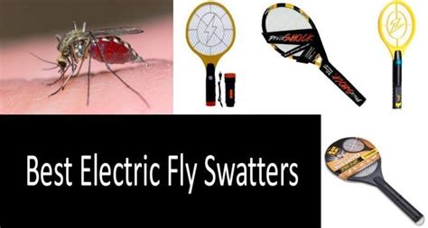 Do Electric Fly Swatters Work? And Why Do They Buzz Like a Disco Ball?