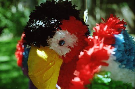  The Piñata Parrot: A Tale of Forgotten Dreams and Unexpected Friendship!