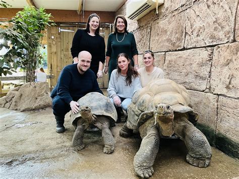  The Talking Tortoise! A Glimpse into Sixth-Century Indian Wisdom?