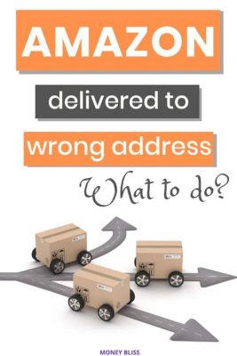 What to Do with Amazon Package Delivered to Wrong Address: A Journey Through the Maze of Modern Logistics